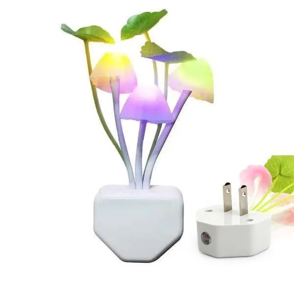 Multicolor LED Night Lamp